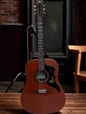 Eko Acoustic-Electric Guitar Ranger6 Acoustic-Electric Guitar