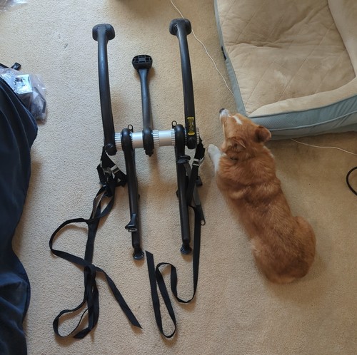 Saris bones bike - 3, rack