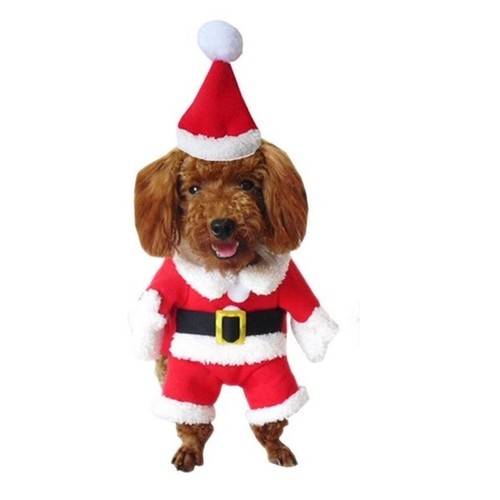 Costume pour chien noël - costume,