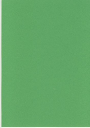 Feuilles vert biliard - a4,
