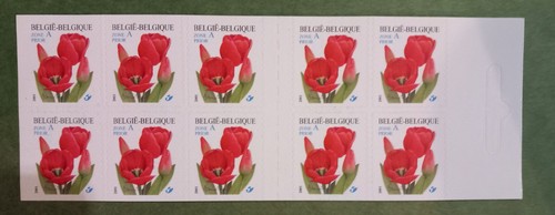 Carnet fleurs buzin belgique - carnet,