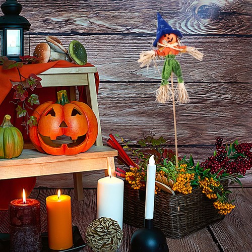 2pcs halloween élégant - 2pcs,
