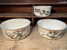 LOT OF 3 DISHES / SALAD BOWLS VILLEROY & BOCH BOTANICA decorations