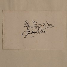 Joseph Simon Volmar Goat Animal Study Unique Ink Drawing Mid 19th Century