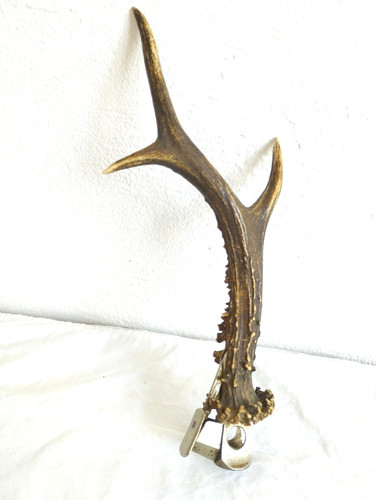 Ancien coupe cigare - ancien,