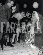 Photo de presse vintage Animaux Paris Chien Opération Adoption tirage