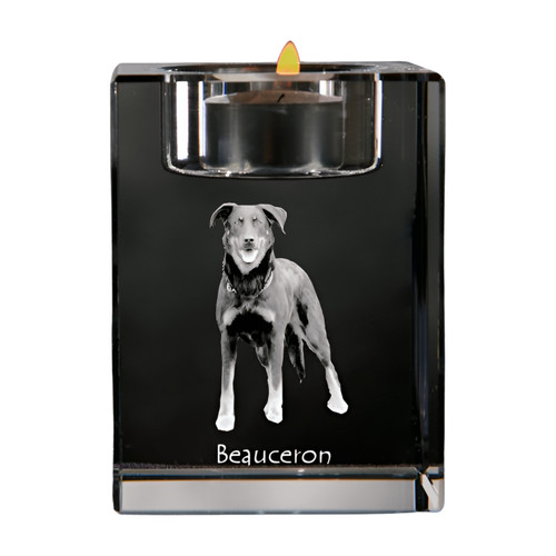 Berger beauce beauceron - de,