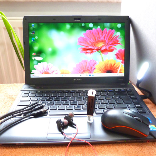 Sony vaio s11 pouces - l, 1