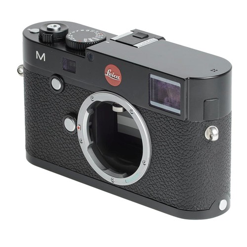Leica peint - leica, (type