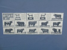 Oxo Ltd Set of 15 Bull Series 1927 - Mint 