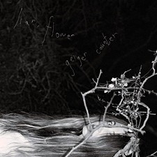 Liar, Flower Geiger Counter