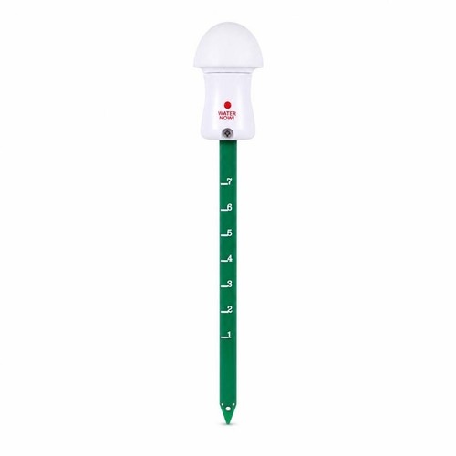 Testeur humidité du - testeur, d'humidité