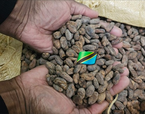 Fèves cacao bio origine - de,