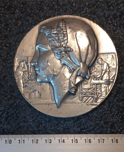 Médaille bronze argenté - médaille,