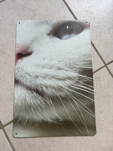 Plaque métal 20x30cm chat - plaque,