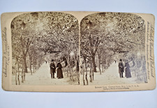 CARTE PHOTO STEREO LOVER'S