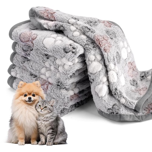 Plaid pour chien - plaid, x
