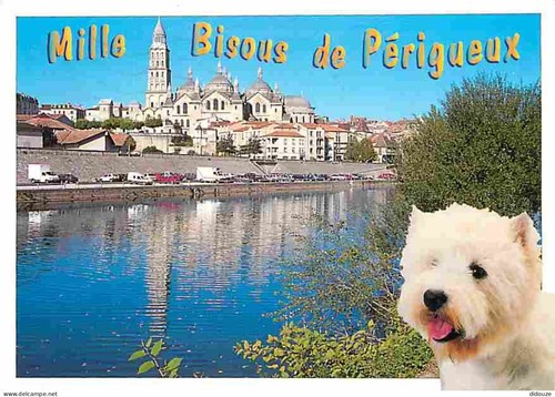 Carte postale animaux - postale,