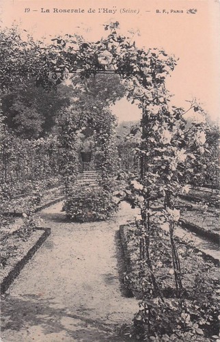 Hay les roses la - roses,