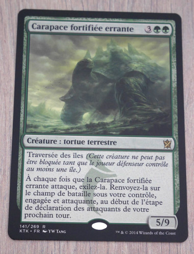 Magic carapace fortifiée - magic,