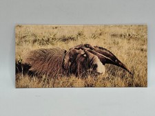 Nestlé MERVEILLES DU MONDE