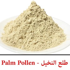 Pollen de palmier dattier en