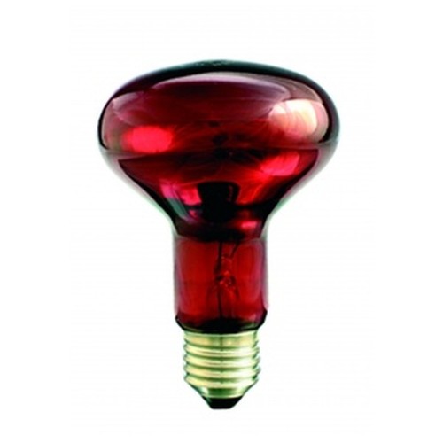 Ampoule r80 ir1 - r80, projecteur
