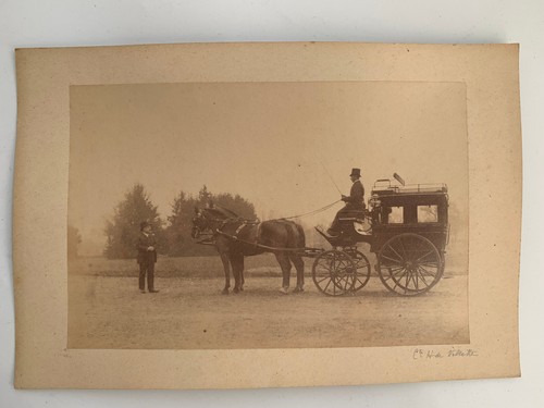 Photo albumine une - albumine, caleche