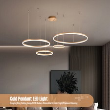 Hanging Ceiling Lamp Pendant