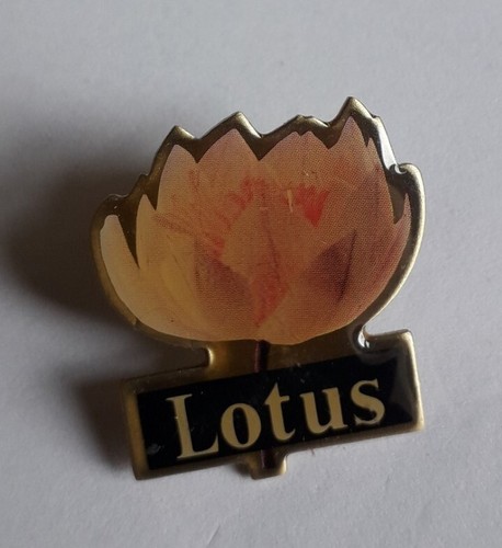 Pins lotus - pins,