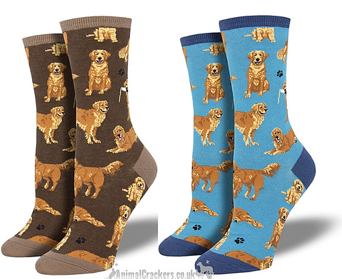 Chaussettes golden retriever - chaussettes,