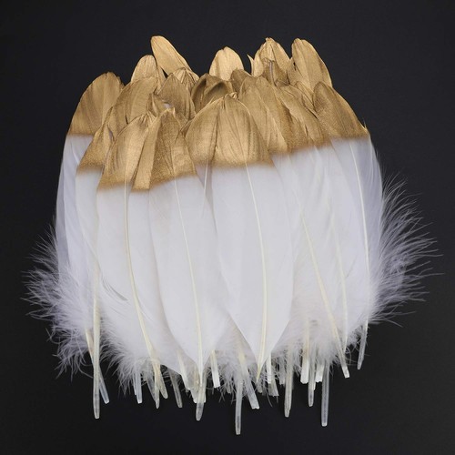 40pcs plumes blanches - plumes,