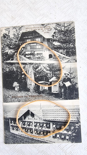 Cpa allemagne ruches - cpa,, allemagne,