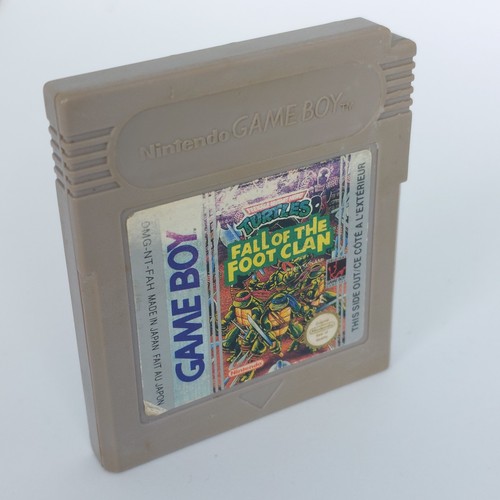 Teenage mutant hero - teenage,