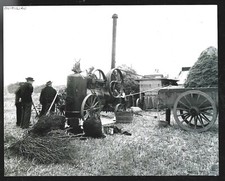 2002 -- MECHANICAL HARNESS IN GUIMILIAU. 4C040
