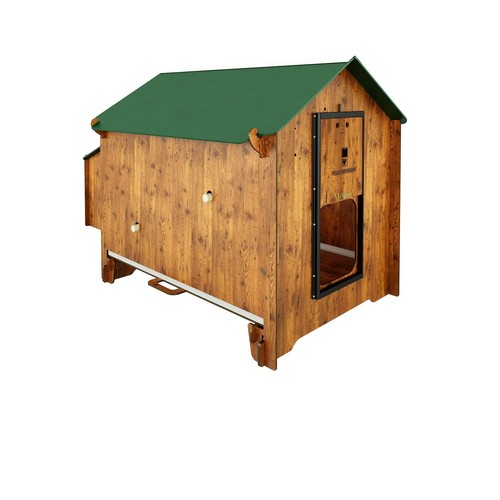 Poulailler poules en - poulailler,