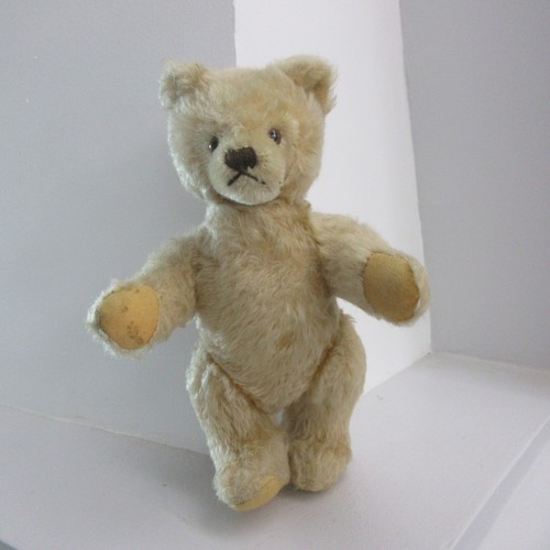 Ours steiff blanc periode - periode, 1950