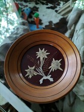 cadre en bois, herbier, fleurs