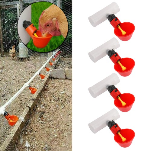4pc oiseau volaille buveur - 4pc,