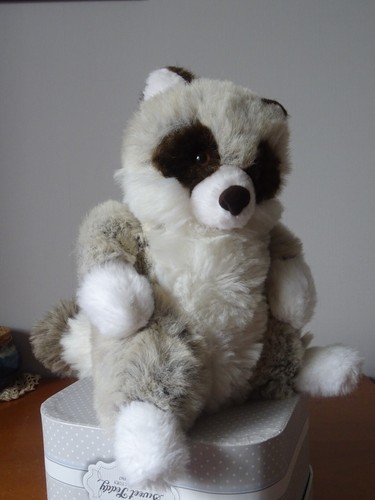 Doudou raton laveur - doudou,