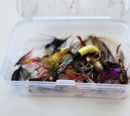 Pêche mouche lot - lot, de
