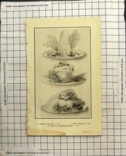 Antique Print Bombe De Pain Bis Coupe Jacques Peche A La Princess Clotilde