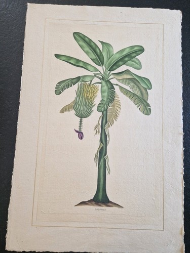 Roche laffitte aquarelle - laffitte,
