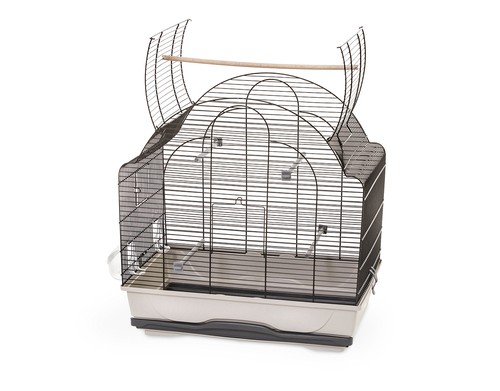 Cage oiseaux pour - cage, À