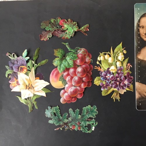 Grands chromos fruits fleurs - 5,