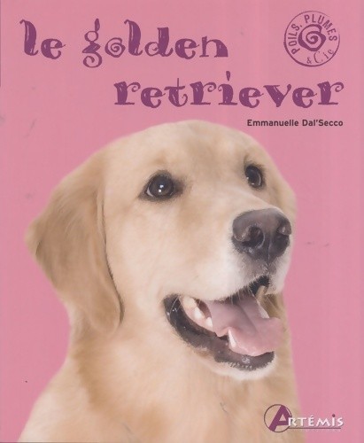 Golden retriever - retriever,