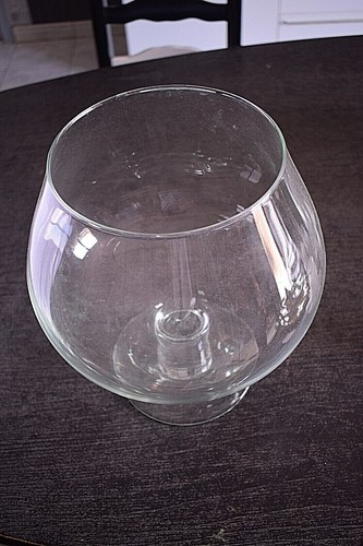 Grande coupe poisson rouge - poisson,