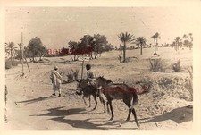 Arabe avec mule sur le panneau