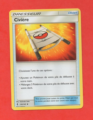 Pokemon dresseur 130 145 - dresseur,