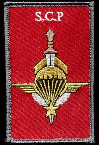Parachutiste section des - /,
